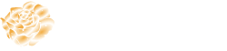 Galaxy Rose™️ Company Logo